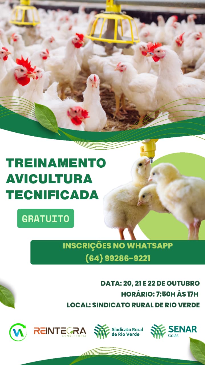 Leia mais sobre o artigo Avicultura Tecnificada